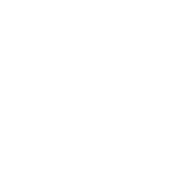 LinkedIn icon
